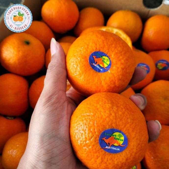 

SALE! BUAH JERUK MURKOT MANIS 1 KG