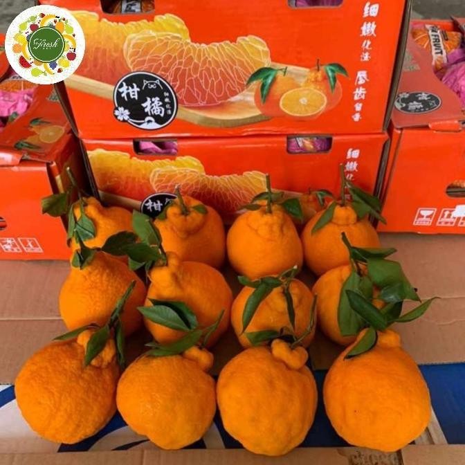 

SALE! JERUK PAGAGAN DEKOPON