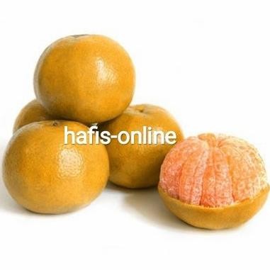 

SALE! BUAH JERUK MEDAN SUPER 1KG