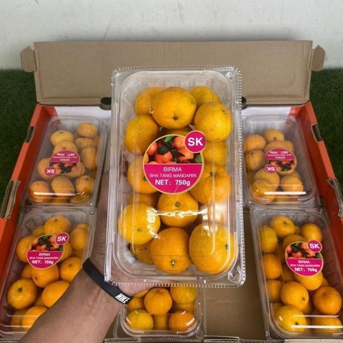 

SALE! JERUK SHANTANG BIRMA FRESH MANIS PER PAK BERAT 750 GRAM