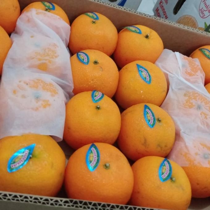 

SALE! 1 DUS JERUK KINO