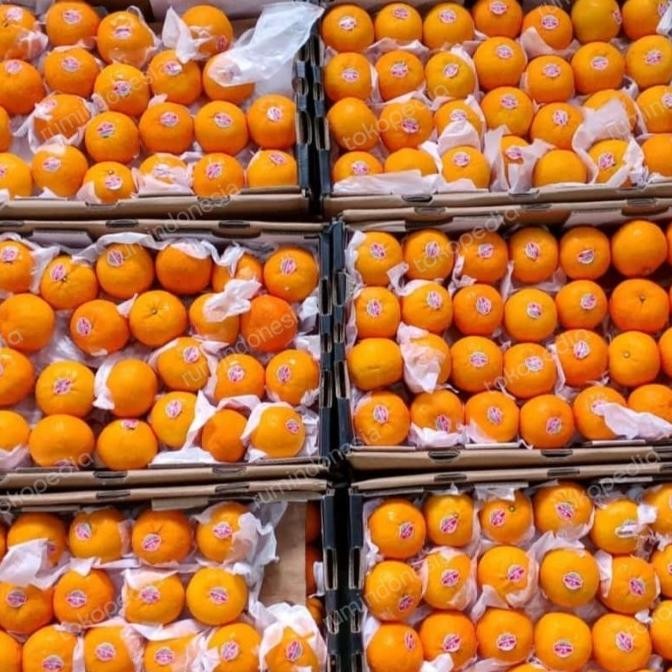 

SALE! JERUK WOKAM PREMIUM IMPORT 1 DUS 9 KG / JERUK WOKAM PREMIUM