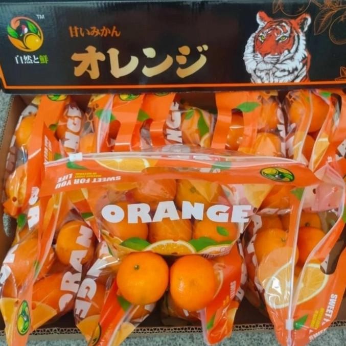 

SALE! BUAH JERUK WOKAM REPACK FRESH MANIS PER 1 DUS BERAT -+9KG