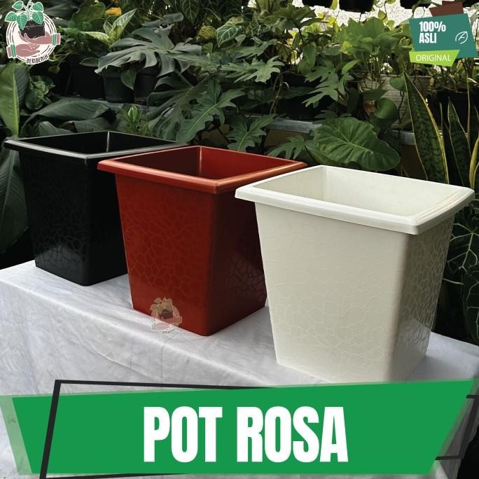 Pot Bunga Kotak Putih Besar 40 Rosa Pot Taman Tanaman Hias Buah Kuat MMU