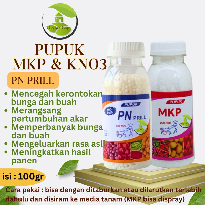 Paket pupuk pembungaan dan pembuahan Kno3 dan Mkp J3Y2