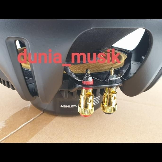 speaker ashley top12neo 12inch original