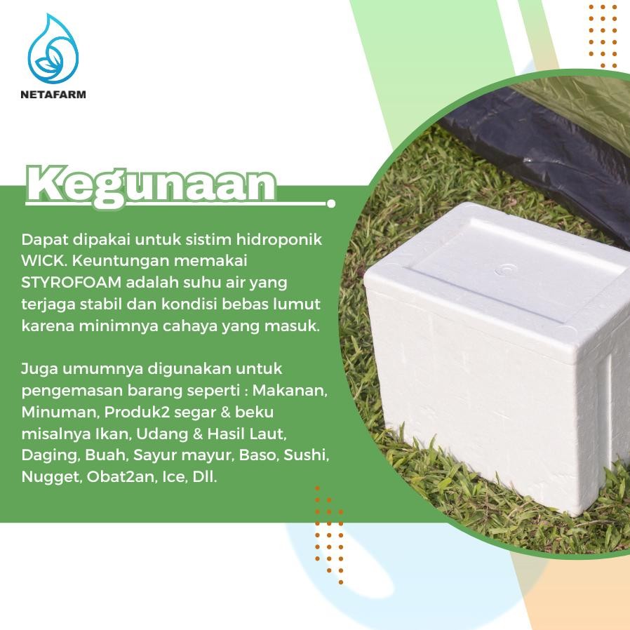 Kualitas Tertinggi Styrofoam Box Size 10 (52X35,5X18) - Wadah / Kontainer Hidroponik Wick Sty0098