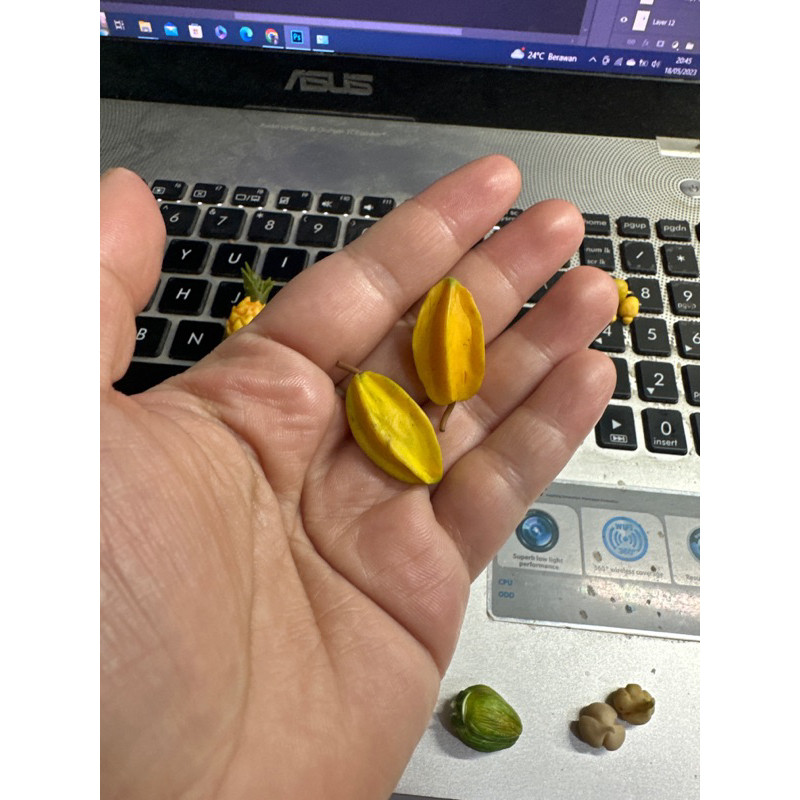 

miniatur buah belimbing
