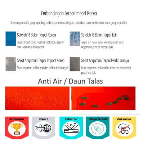 Promo Mega Terpal Kolam Ikan A15 200X400X100 / 400X200X100 Cm / 2X4X1 / 4X2X1 M. H-4