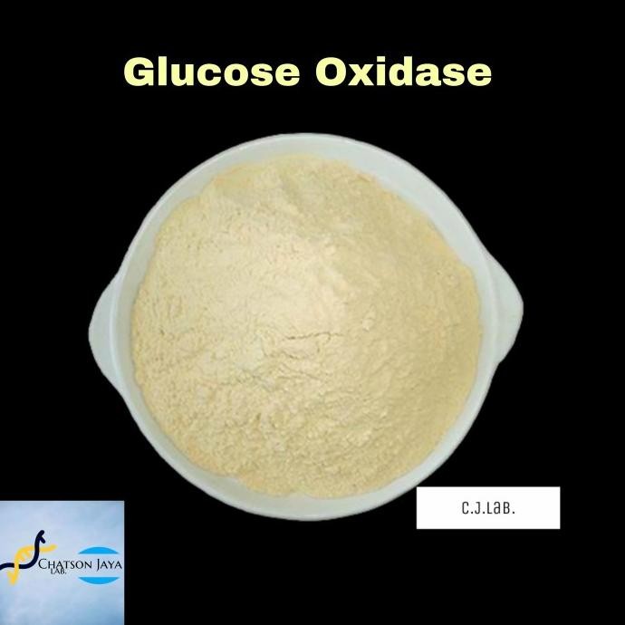 

Enzim Glucose Oxidase Powder 100 gr-Enzim Glukosa Oksidase 100 gr