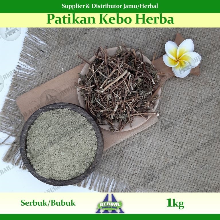 

Herba Patikan Kebo (Bubuk) 1Kg - 100% Murni #Herbal