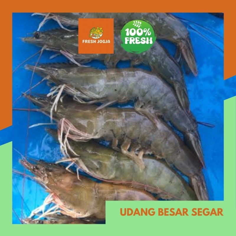 

Udang Besar Segar per 250gr | Fresh Jogja