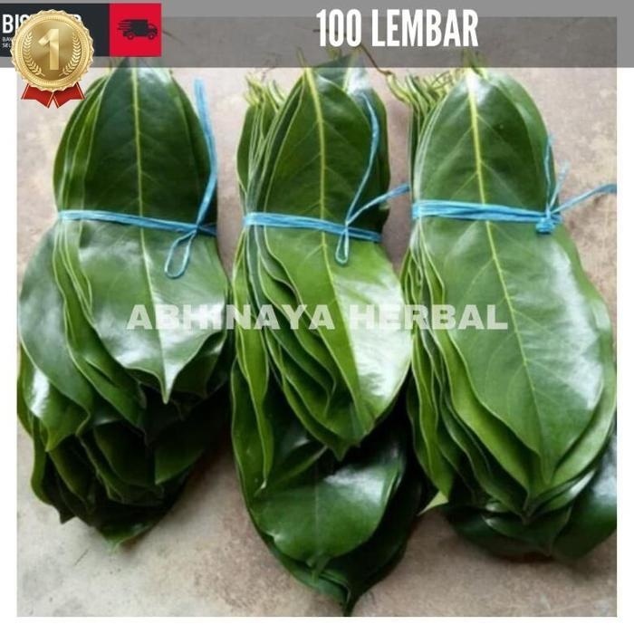 

Special Daun Sirsak Segar Organik Obat Herbal Tradisional 100 Lembar Daun Herbal Asli Kalimantan