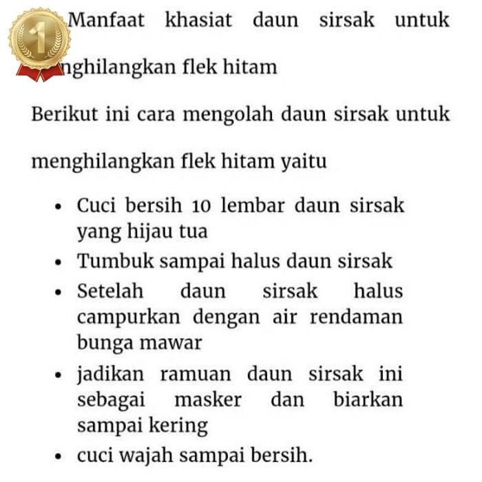 

New Arrival Daun Sirsak Segar Non Kimia Daun Herbal Asli Kalimantan