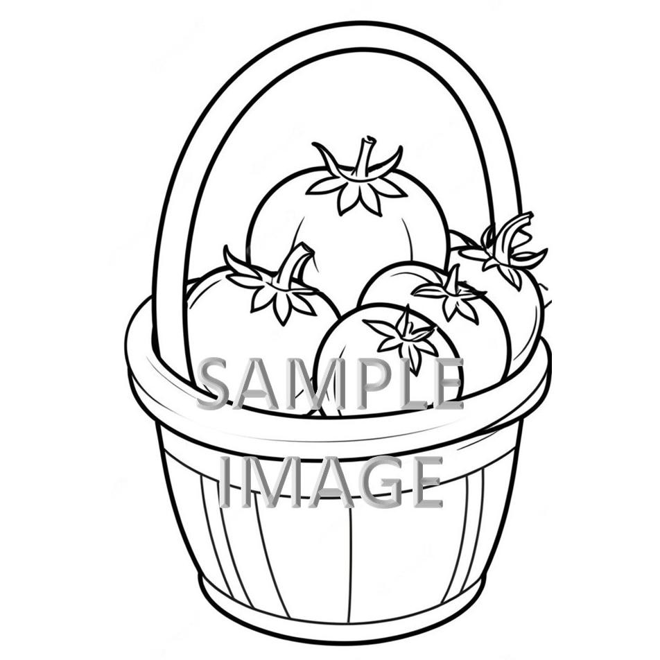 

Jaminan Mutu Kertas Mewarnai Ukuran A5 / Tomat / Gambar Mewarnai / Coloring Book / Untuk Sd Tk Paud Bahan Terbaik