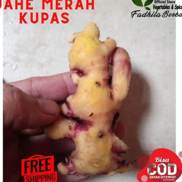 

Jahe Merah Kupas 1Kg | Jahe Merah Bersih Kupas 1Kg