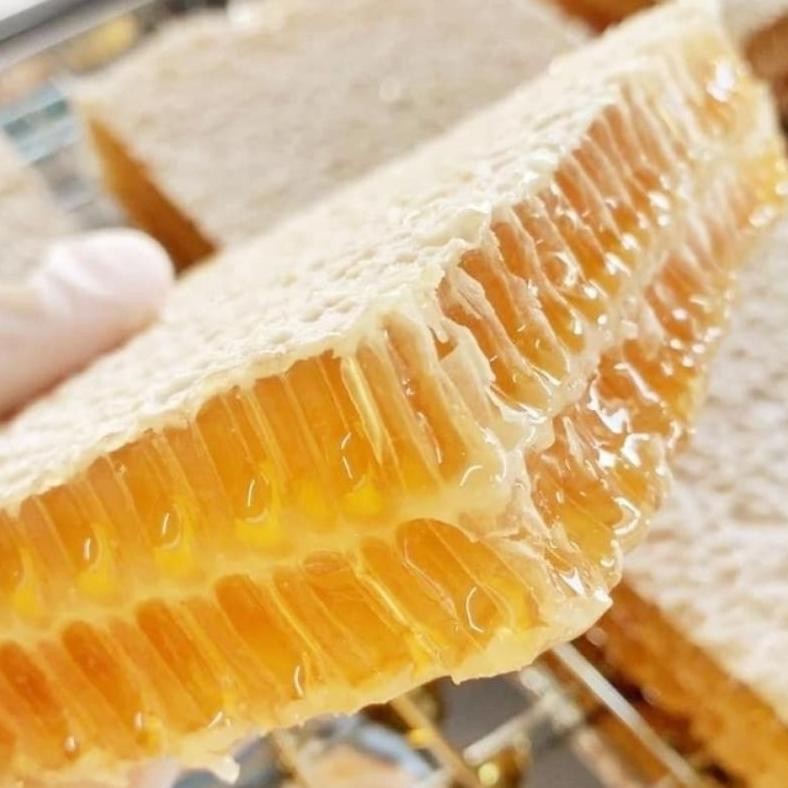 

Termurah Madu Sarang Asli 500Gr - Madu Premium High Quality