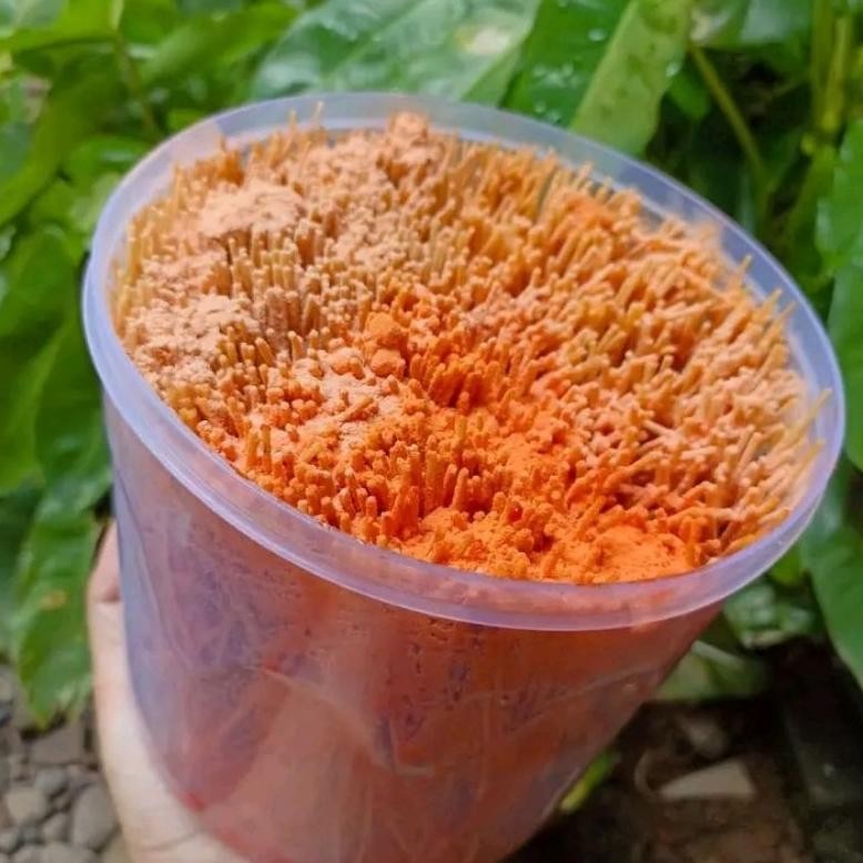 

Discount Mie Lidi Toples | Mie Lidi Lebaran | Mie Lidi Bumbu Kering High Quality