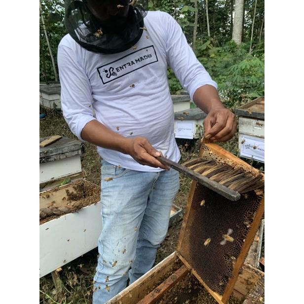 

Big Sale Sentra Madu - Madu Tua 475 Gram (Madu Murni/Madu Asli Usia Matang Dengan Sarang Madu) High Quality