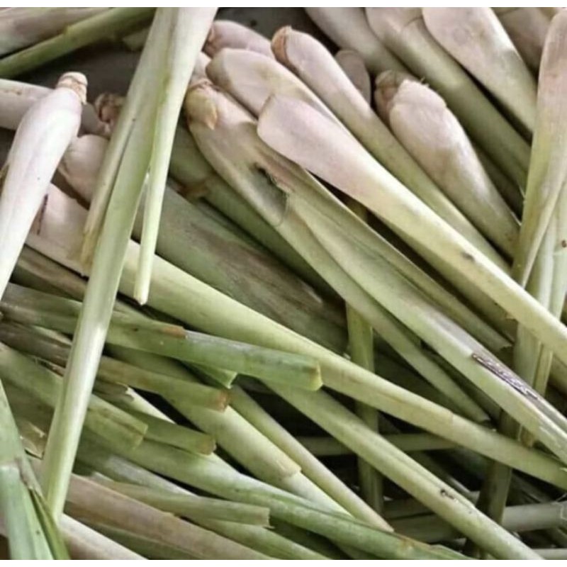 

SERAI SEGAR 250 gr