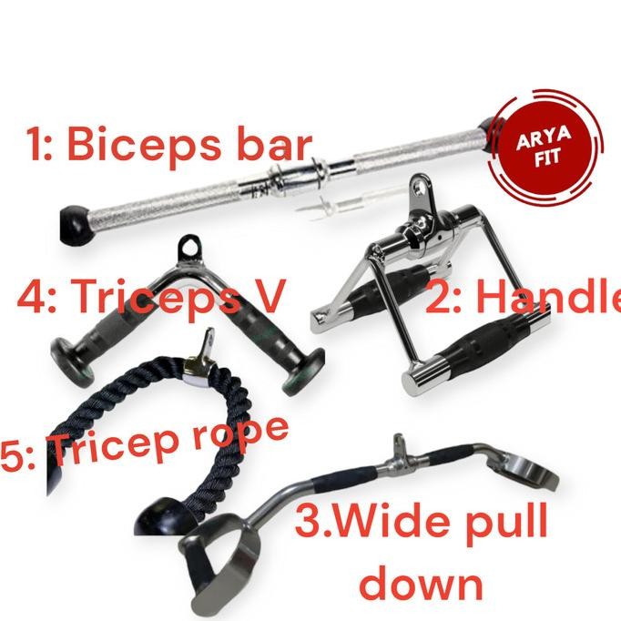 

Biceps Triceps Straight Bar