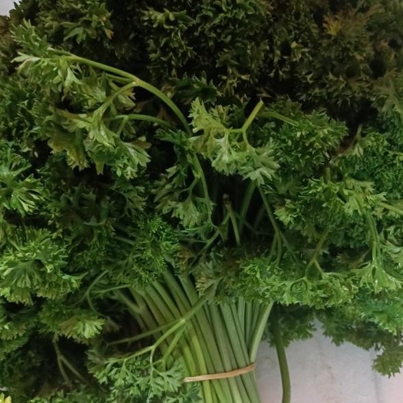 

Daun Parsley 500Gr