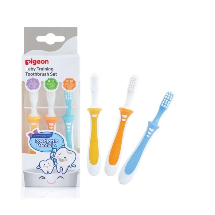 Pigeon Training Toothbrush Lesson 1 Lesson 2 Lesson 3/ Sikat Gigi Bayi