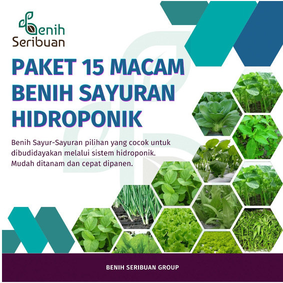 Bibit Sayuran Hidroponik Paket 15 Macam Benih Sayur Daun Kangkung