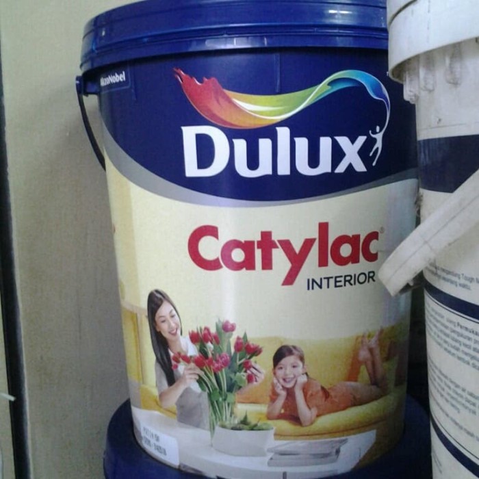 Ready Cat Dulux Catylac (25kg)