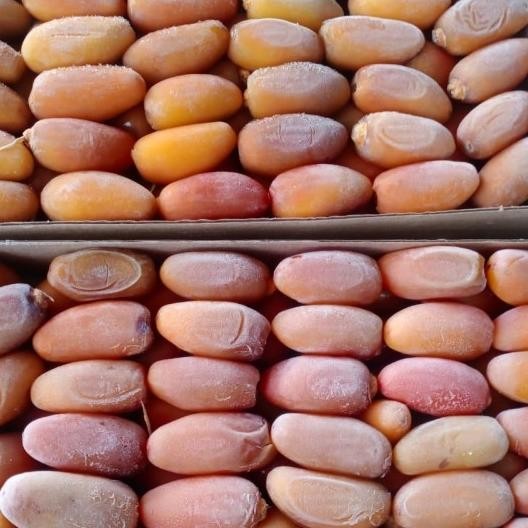 

Kurma Ruthob Libya 1 Kilo Panen Baru