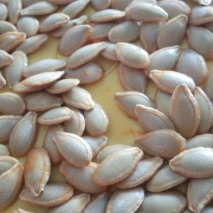 

KWACI HERBAL BIJI LABU KUNING KERING ORGANIK -250 GRAM TERPERCAYA