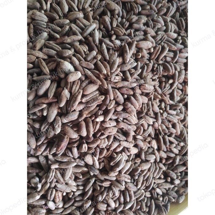 

Terlaris Biji Kurma kering 1kg SALE