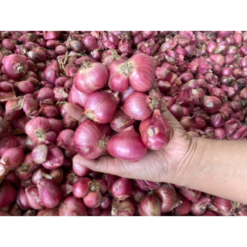 

Bawang Merah (Pilihan) 1kg