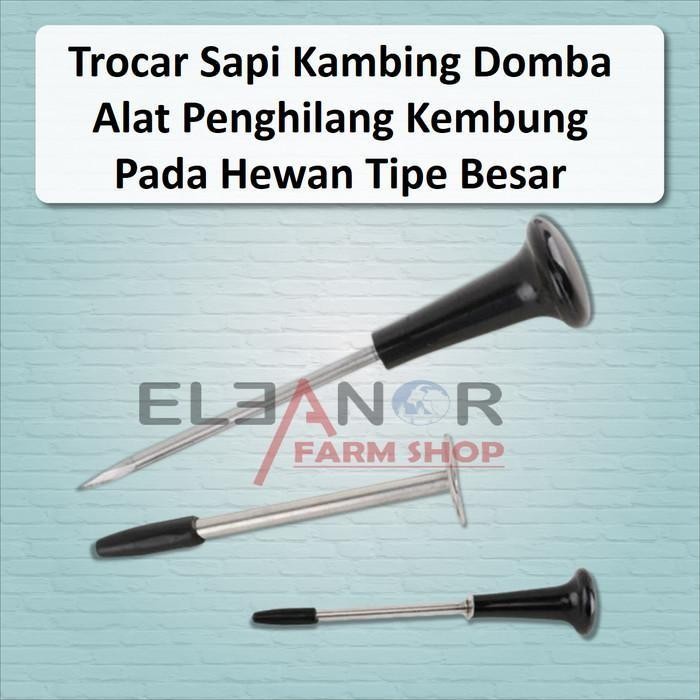 

Trocar Sapi Kambing Domba Alat Penghilang Kembung Pada Hewan Murah Hewan