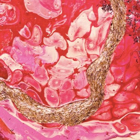 

Paket Cat Lukis Akrilik 250Ml 7 Warnaa