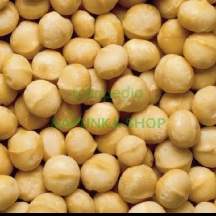 

roasted macadamia nut 500gr /Macadamia panggang