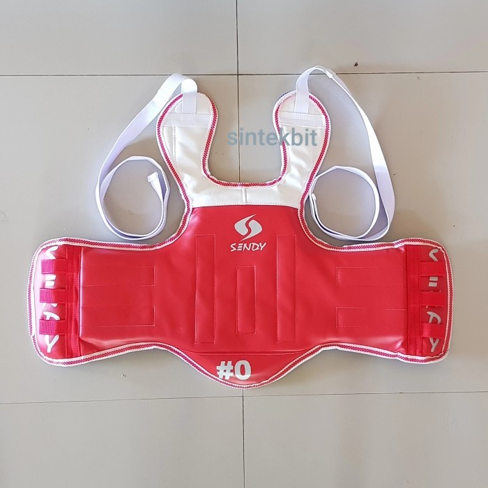 Body protector taekwondo