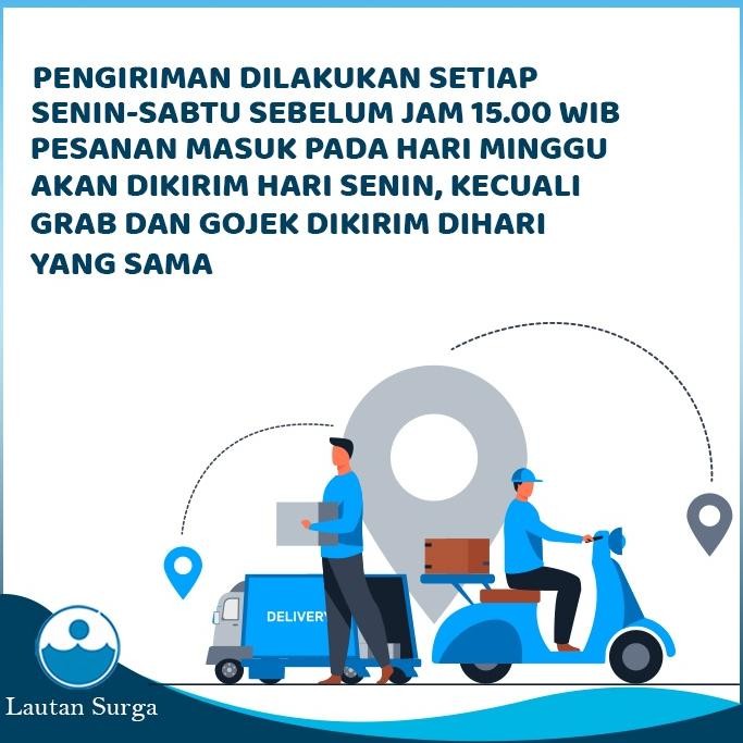 

Murah Premium Impraboard Lembaran Infraboard 50X70, 60X80 Papan Pp Board Papan Plastik Bergelombang Putih 5Mm Eqw-68