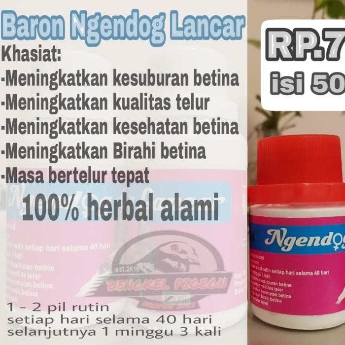 Vitamin Burung Bertelur Breeding Ngendog Lancar Baron Merpati Dara