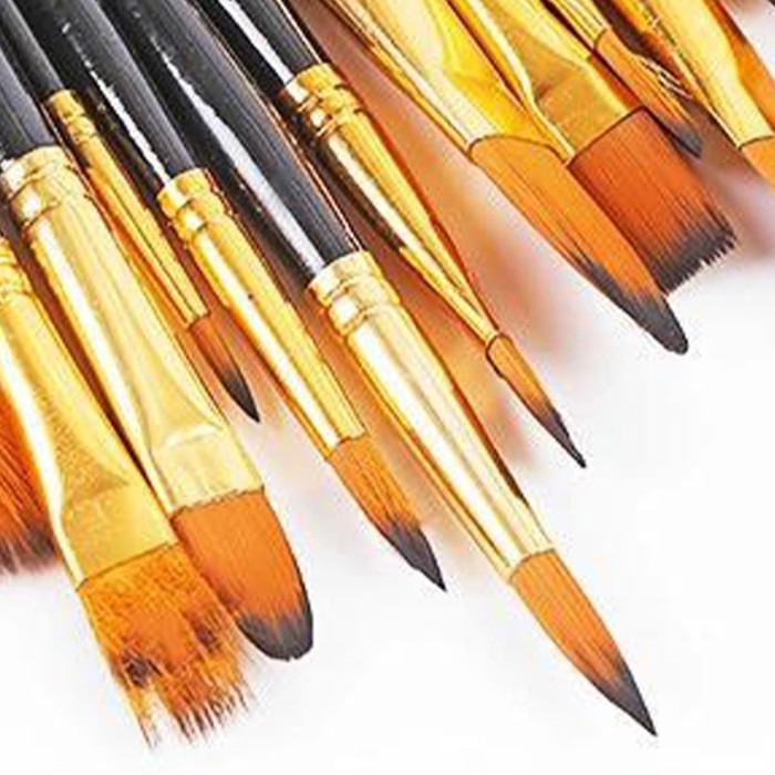 

T E R B A R U Advanced Painting Brush Set For Artists Artwork With Professional