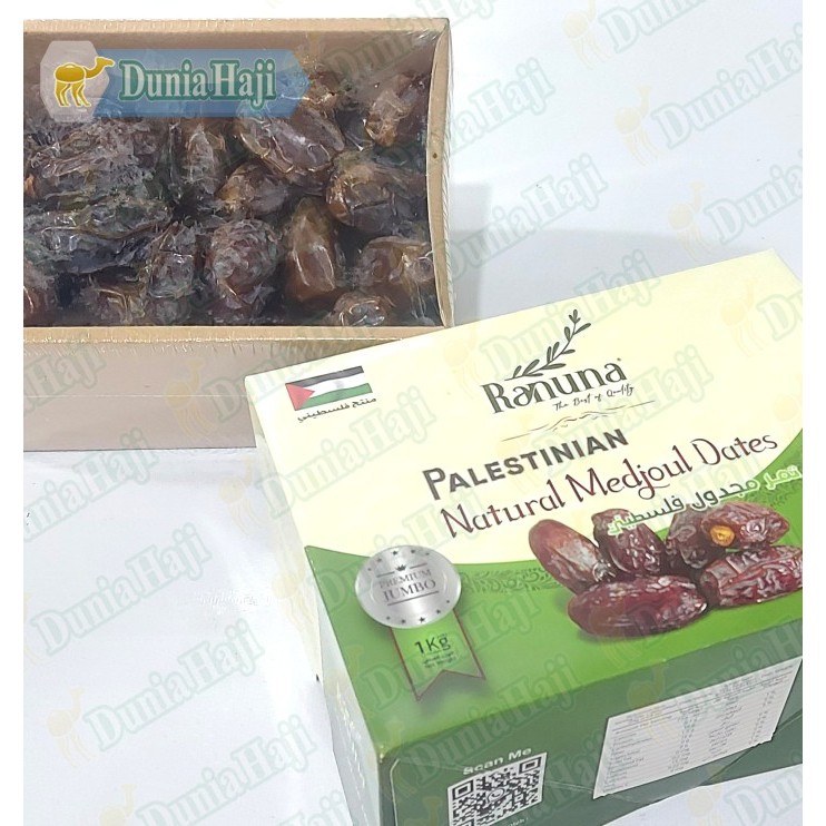 

Kurma Medjool 1Kg Jumbo Palestin Medjol Natural Dates Asli Palestine