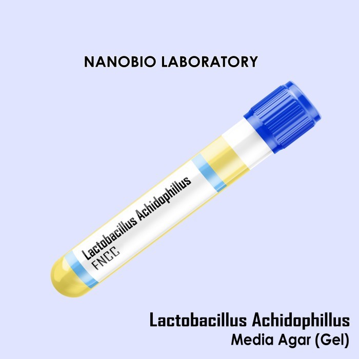 Bakteri Kultur Lactobacillus acidophilus