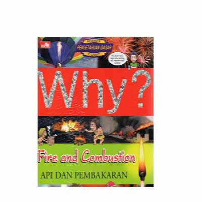 

Why Fire & Combustion