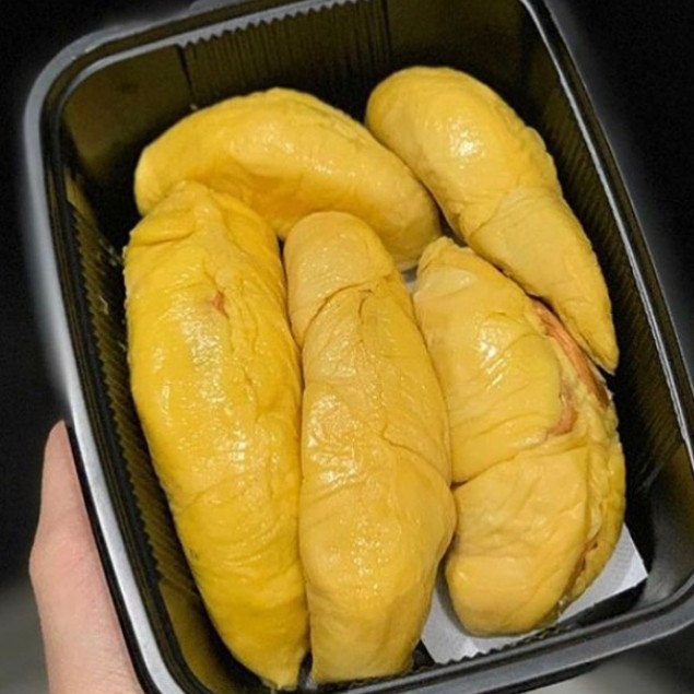 

Durian / Duren Musangking Asli Malaysia Terbaik