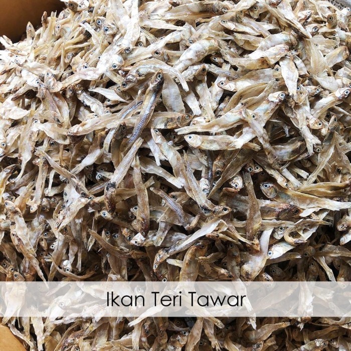 

Terbaru Ikan Teri Tawar 1 Kg