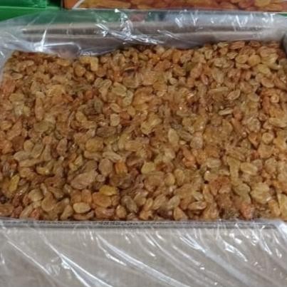 

Kiss Asem Manis/Kiss Golden Raisin 10Kg
