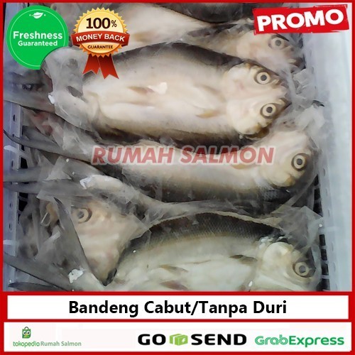 

Ikan Bandeng Segar Cabut Duri Tanpa Duri Frozen Bersih 600G/Ekor