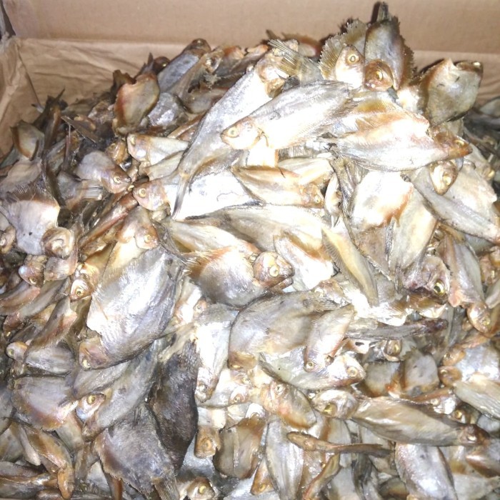 

Ikan Asin Sepat Rawa Super