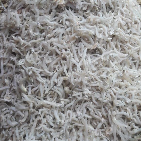 

Ikan Teri Nasi Khas Medan 500 Gr