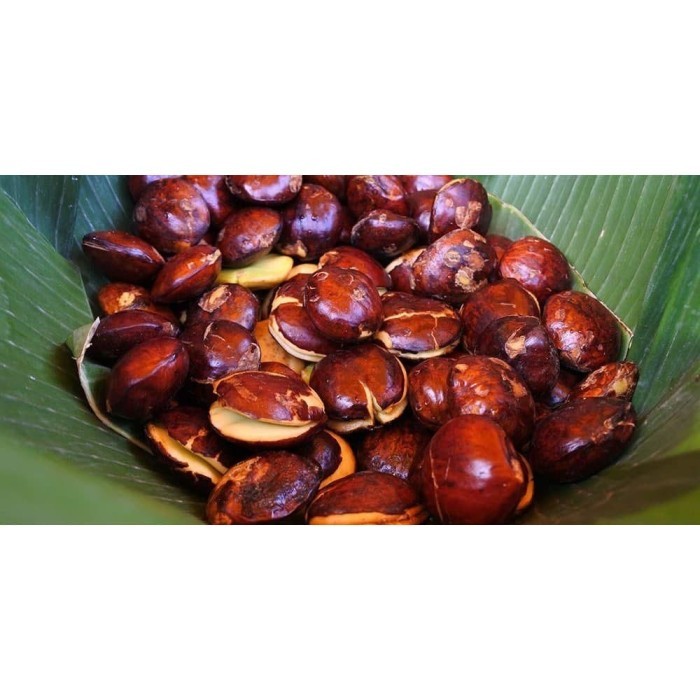 

Jengkol 250 Gram